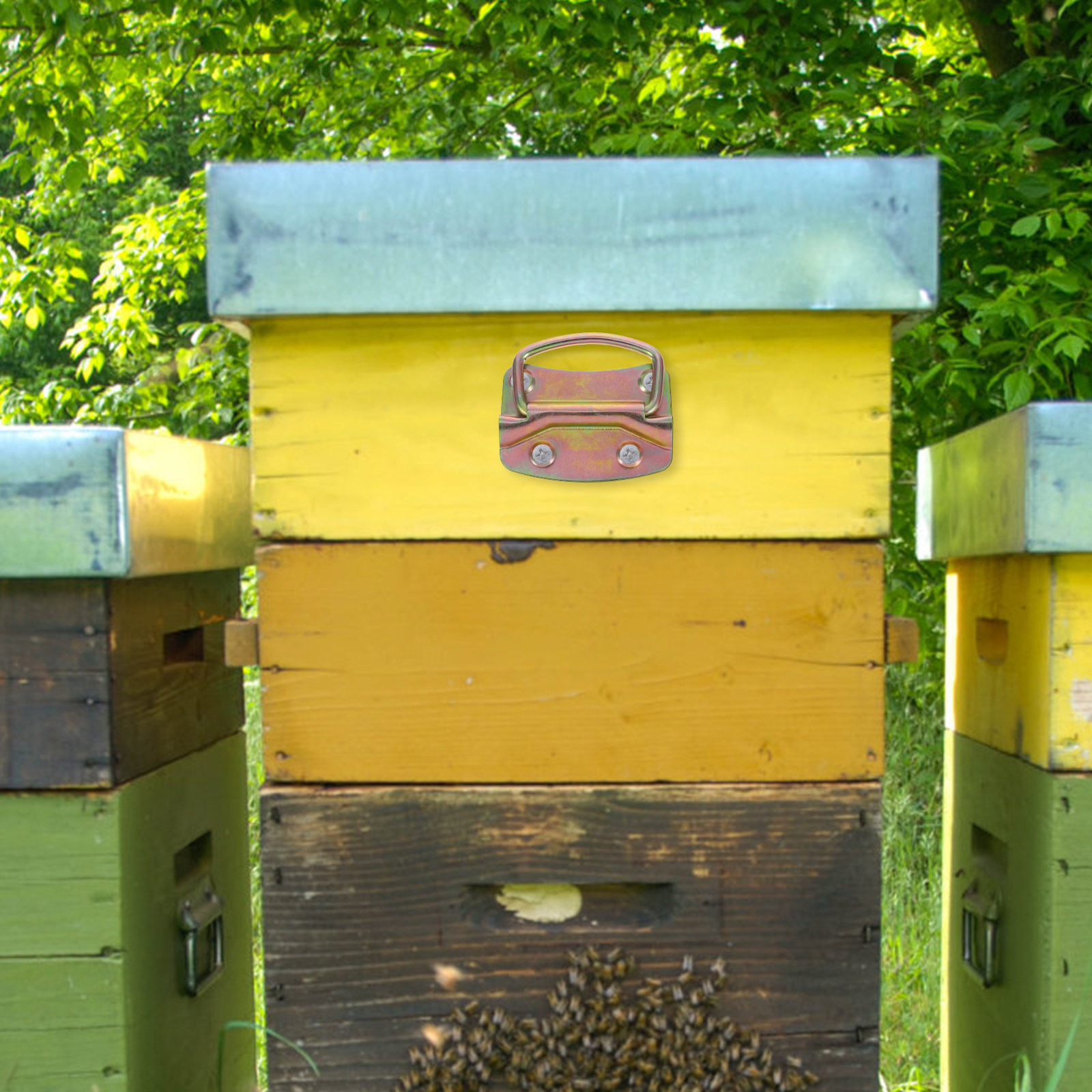 4Pcs Beekeeping Hive Lifting H - Crossfit Lifting ulasan dan harga
